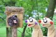 Ein Vogel zeigt Jan und Henry einen Trick, wie es im Winter schön warm am Kopf bleibt.