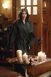 Teri Hatcher (Susan Delfino).
