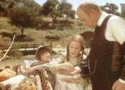 Freudig bringen Jonah (Shane Sinutko, l.) und Laura (Melissa Gilbert, M.) ihr Gold zum Bankier Mr. Sprague (Ted Gehring, r.).