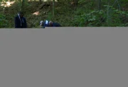 Als ein Jogger an einem Abhang eine bis zur Unkenntlichkeit verstümmelte Leiche entdeckt, müssen Lt. Joe Kenda (Carl Marino, l.) und sein Team nicht nur die Identität des Opfers, sondern auch die Teile einer unglücklichen Dreiecksbeziehung entschlüsseln ...