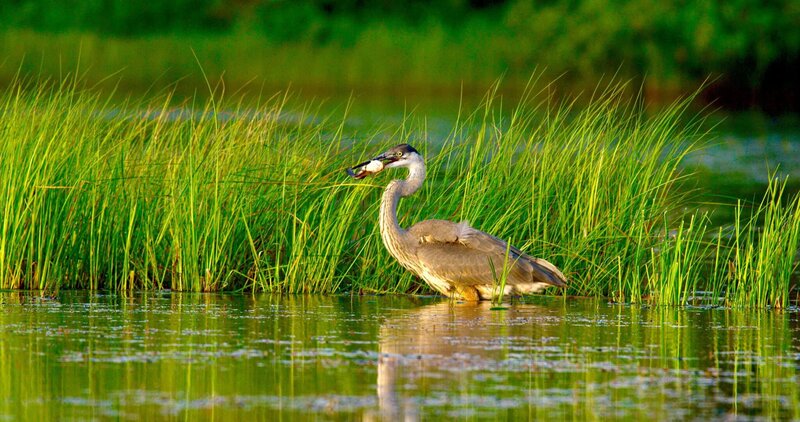 Hudson River - Der Fluss zwischen Wildnis und Skyline (USA, 2021)