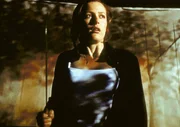Scully (Gillian Anderson) meint den Schatten eines Mannes gesehen zu haben... Scully (Gillian Anderson) meint den Schatten eines Mannes gesehen zu haben...