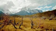 Im Süden Chiles liegt der Nationalpark „Torres del Paine“.