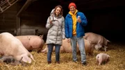 Julian checkt, warum Schweine Glück bringen sollen.
