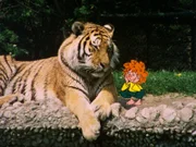 Meister Eder und Pumuckl gehen in den Zoo. Die vielen fremden Tiere sind neu und aufregend für den kleinen Kobold.