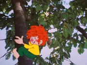 Der Pumuckl hat seine Vorliebe für Äpfel entdeckt. Deshalb nistet er sich in einem Schrebergarten ein und knabbert an jedem Apfel herum, den er erreichen kann.