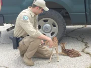 Everything's bigger in Texas, including the job of Texas Game Wardens who protect the Lone Star State's natural resources and police its 27 million citizens. This elite force patrols more than a quarter million square miles to protect and serve.