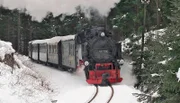 Die Fichtelbergbahn im Erzgebirge.