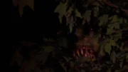 In dieser Folge öffnen die Monster-Jäger die Büchse der Pandora und rollen ihre bisherigen Fälle noch einmal auf.