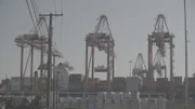 Cranes lifting containers at Newark Seaport.