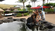 Clients Jordan and MArina Scott take their daughter, Vayda, to Maui Ocean Center in Maui. As Seen on HGTV's Hawaii Life