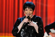 "Love Pains" ist eine Hitsingle aus Liza Minnellis Album "Results" das von den Pet Shop Boys produziert wurde.