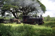 Waldbahn von Cepu im Osten Javas.