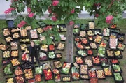 Sylvia Schneider ist die Gründerin von "Essen für Alle" und engagiert sich ehrenamtlich für "Zero Waste".