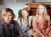 Carl (Brian Part, l.), Mary (Melissa Sue Anderson, M.) und Laura (Melissa Gilbert, r.) bangen in dem führerlosen Waggon um ihr Leben.
