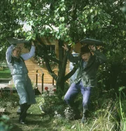 v. li.: Hans Stadtmueller und Fritz Strassner im Obstgarten.