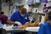 Dr. Jeff Young in surgery room