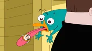 PERRY THE PLATYPUS