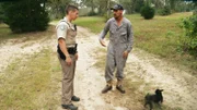 Im Südosten von Texas liegt der Geruch von Schießpulver in der Luft, denn die Weizen- und Hirsefelder in Nueces County locken sowohl Tauben als auch Jäger an. Doch pro Tag darf man dort nicht mehr als fünfzehn Vögel erlegen. Und das ausschließlich mit einer Schrotflinte - andere Gewehre sind nicht erlaubt. Deshalb kontrollieren die Mitarbeiter des "Parks & Wildlife Departments" während der "White Wing Season", ob sich auch jeder an die Regeln hält. In den Marschgewässern an der Golfküste sind ebenfalls bedrohte Arten in Gefahr.