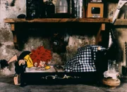 Pumuckl freundet sich mit einer Maus an und lernt, dass es gar nicht so einfach ist, mit einem Spielkameraden auszukommen, der so ganz anders geartet ist.