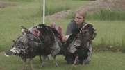 Alicia Maclean playing with the turkeys at Barn Sanctuary.