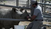 Weston Popichak with white rhinos