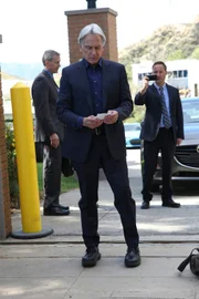 Gibbs (Mark Harmon)