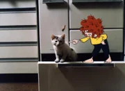 Meister Eder holt eine Katze, die sich verlaufen hat, in seine Werkstatt. Pumuckl ist eifersüchtig, weil sich Meister Eder mehr mit der kleinen Katze beschäftigt als mit ihm.