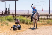 Kolinda roping on her horse.