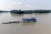 Wenn im Oktober die Schonzeit vorbei ist, gehen die brasilianischen Fischer am oberen Amazonas auf Arapaima-Jagd.