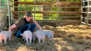 Neuankömmlinge auf dem Mutschenhof: Praktikant Felix und das Ferkel-Quartett.