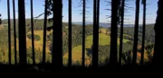 Hersbtwald in der Waldheimat.