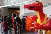 Besonders Sohnemann Carter scheint von dem sechs Meter großen Ballon-Drachen, den seine Eltern ergattert haben, begeistert zu sein.