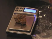Marijuana being weighed on a digital scale.