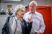 Alfons und Hildegard sind erleichtert, dass der "Fürstenhof" erhalten bleibt.