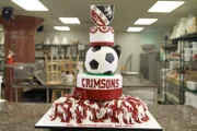 A view of the finished pep rally cake.