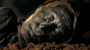 Tollund Man bleibt