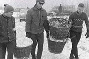 Präparieren der Schanze am Teufelsberg, 1962. Ski und Rodel waren den Berlinern nichts Fremdes, übers Eis konnte man auf Kufen flitzen oder es zum Baden und Angeln benutzen. Die benötigten Sportgeräte konnten vielerorts geliehen werden – meistens. Der Teufelsberg war ein Dorado für Skiartisten und Bodos Geschoss ließ das Neukölner Eisstadion beben.
