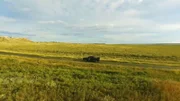 Aaron Sims und seine Wildhüterkollegen machen sich auf den Weg nach Dallam County im Nordwesten von Texas. Dort leben etwa 6000 Gabelböcke. Um die Population zu schützen, dürfen die Tiere nur mit einer besonderen Genehmigung gejagt werden. Doch in der abgelegenen Region fühlt sich so mancher Wilderer unbeobachtet und hält sich nicht an die geltenden Gesetze. Deshalb gehen die "Texas Game Wardens" dort regelmäßig auf Patrouille. In Hardin County hat sich unterdessen eine Hirschkuh auf ein eingezäuntes Privatgrundstück verirrt.