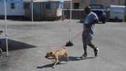 Earl walks the dog away from a trailer the during meet and greet.