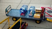Two dogs in cages next to other luggage on a trailer at an airport