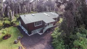 The Volcano Cabin is surrounded by native Hawaiian plants and palm trees, as seen on Log Cabin Living.