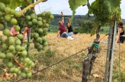 Tobias Kämmerer beim Wein Yoga.