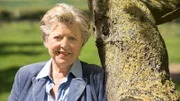 An "Familiengeschichten" von TV Serien erinnert sich u.a. Marie-Luise Marjan ("Lindenstraße")