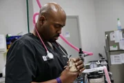 Dr. Ross examines Hedgy