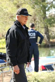 Gibbs (Mark Harmon)