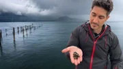 Einstein Invasive Quagga-Muscheln: Kollabierende Seen und Millionenschäden Tobias Müller zeigt verschiedene Quagga-Muscheln.