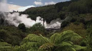 Rund um die thermalen Wasserbecken schließt sich Regenwald an, dessen feuchtes Klima optimale Wachstumsbedingungen für riesige Farngewächse und Moose bietet.