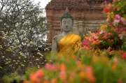 Kein neumodischer Trend: In Thailand sind Tattoos für deren Träger eine Art Talisman, der ihm zu Unverletzlichkeit, Glück und Reichtum verhelfen soll.