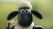 Shaun ist begeistert. Heute geht es auf die Schatzsuche.